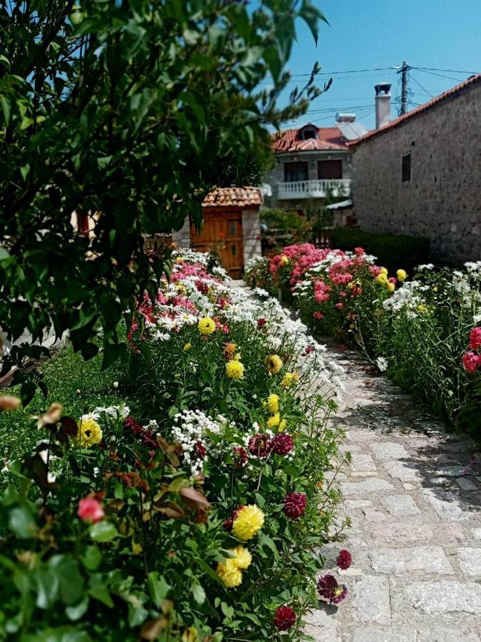 Bed and Breakfast Bujtina Shkodrani Воскопоя Экстерьер фото